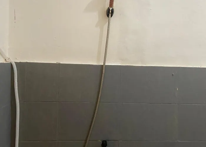 Hijau Kerobokan
